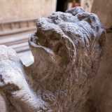 Stesso fiero animale che troviamo scolpito, intento a reggere uno scudo abraso, ai piedi dello scalone in pietra...